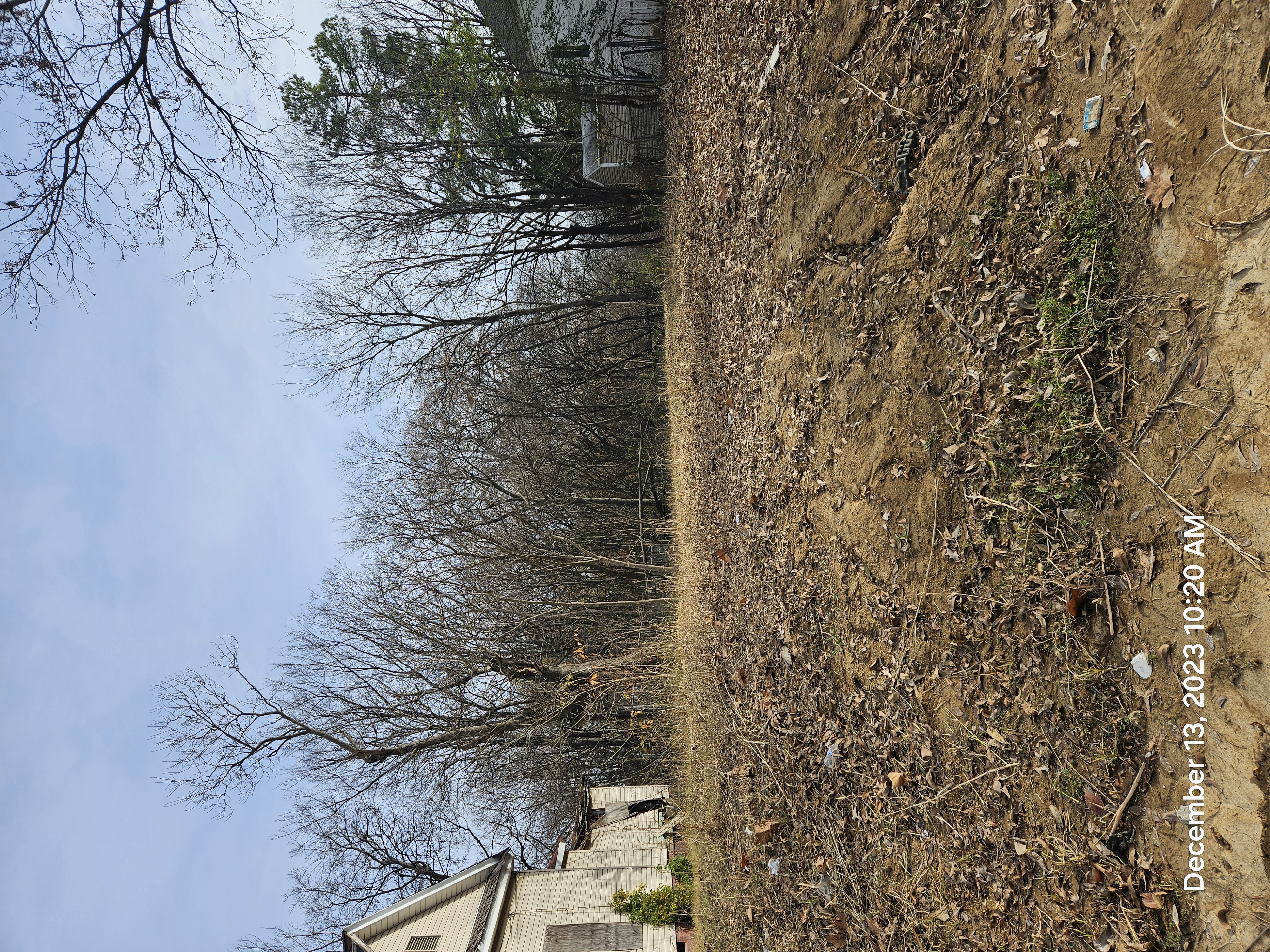 1100 Mississippi photo