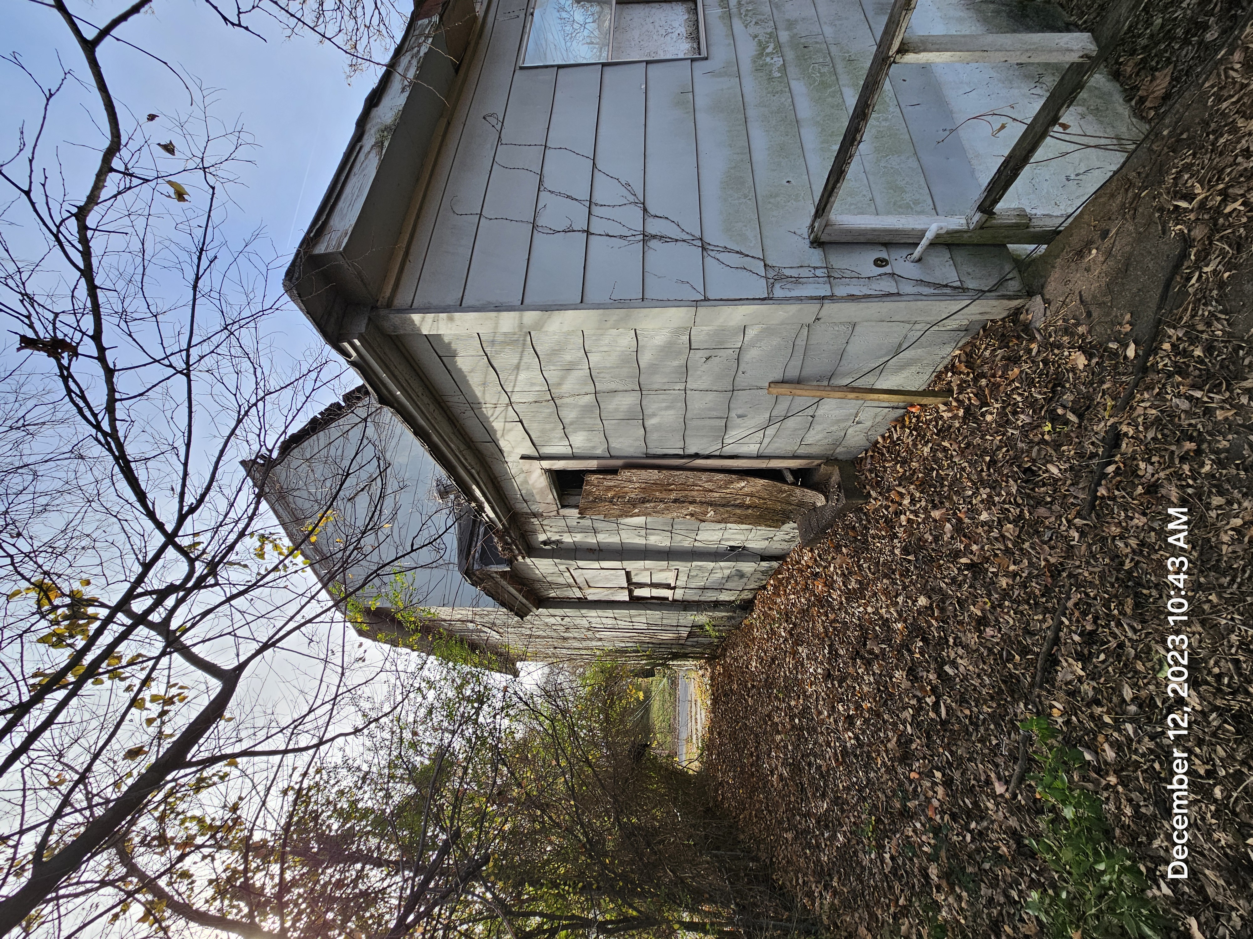 672 Provine photo