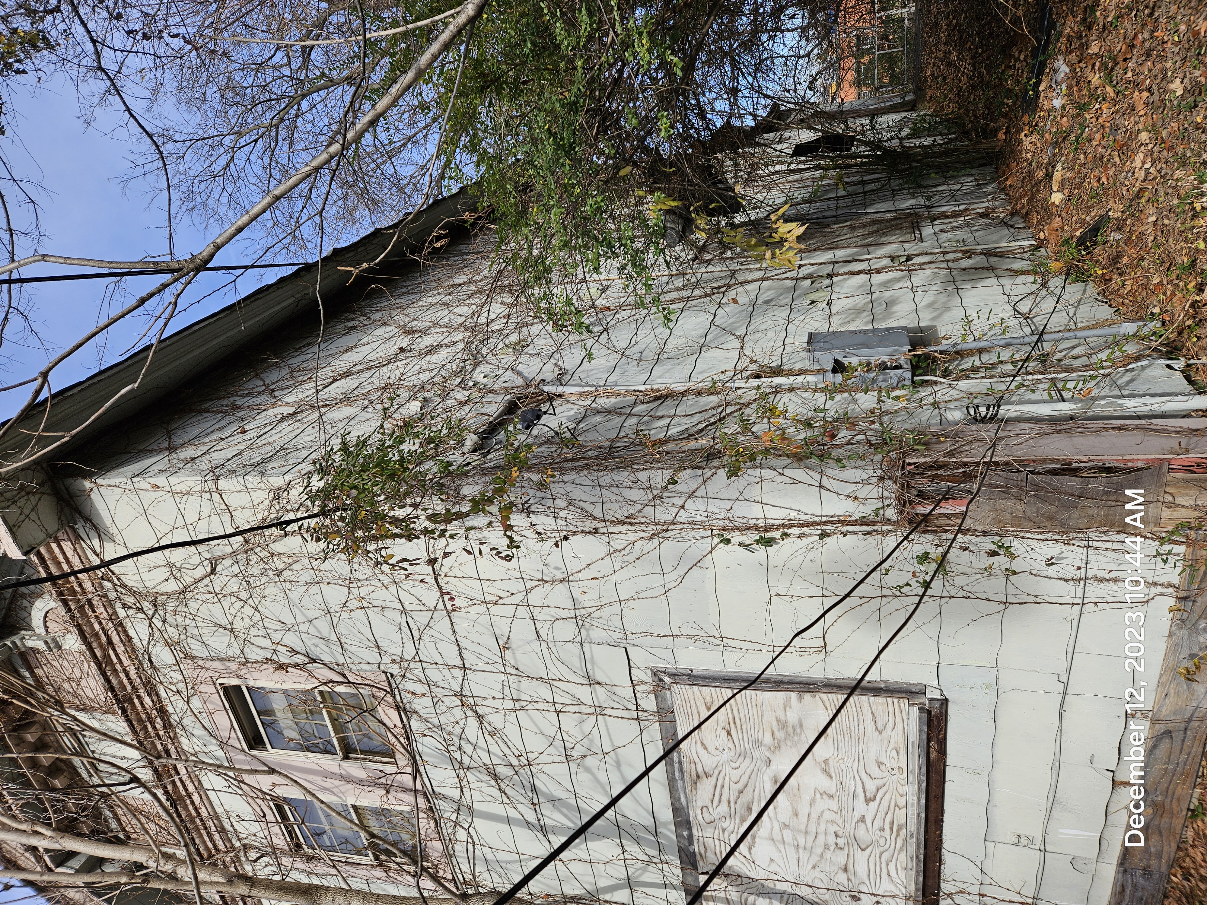 672 Provine photo