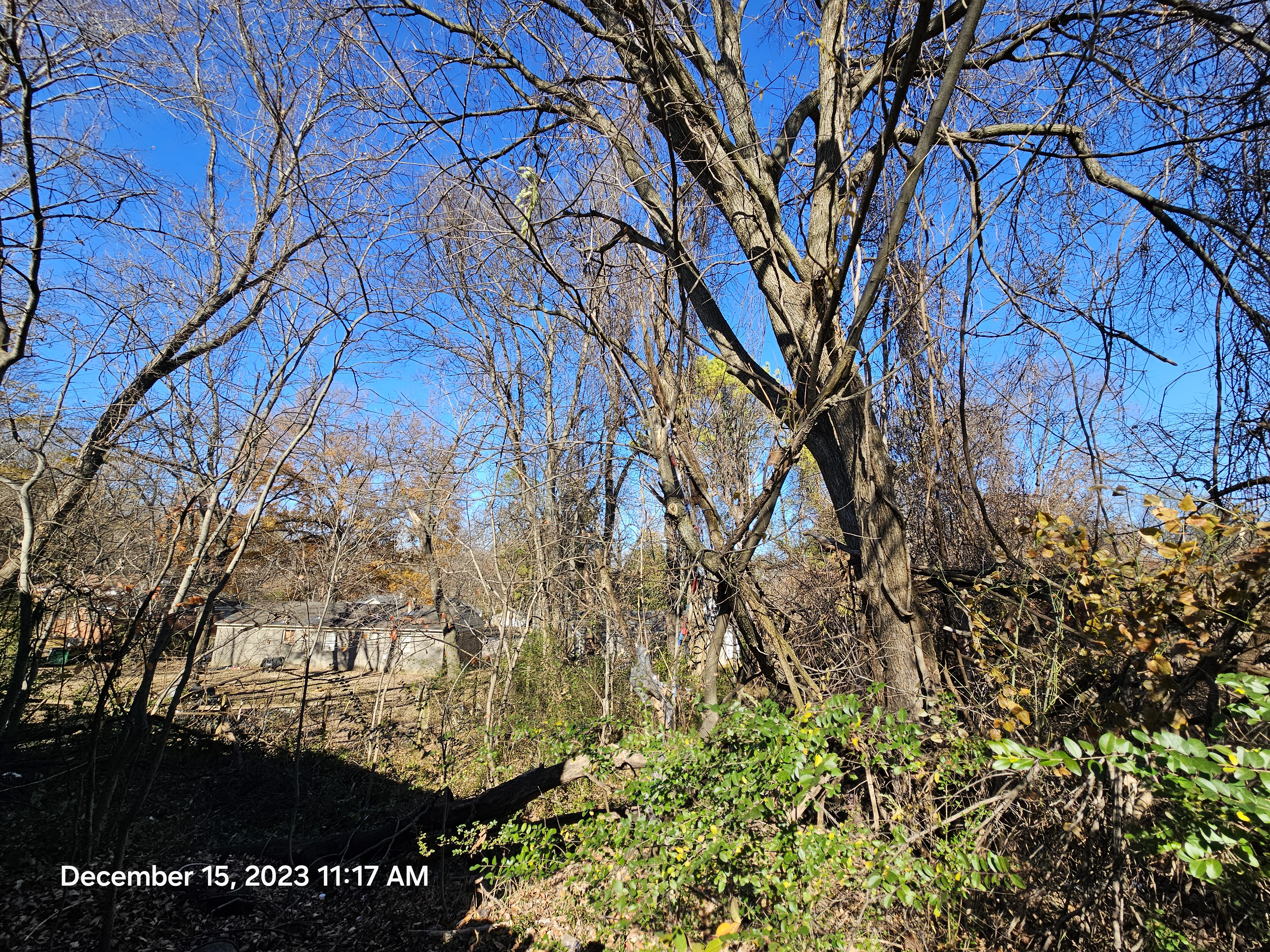 2790 Frayser photo
