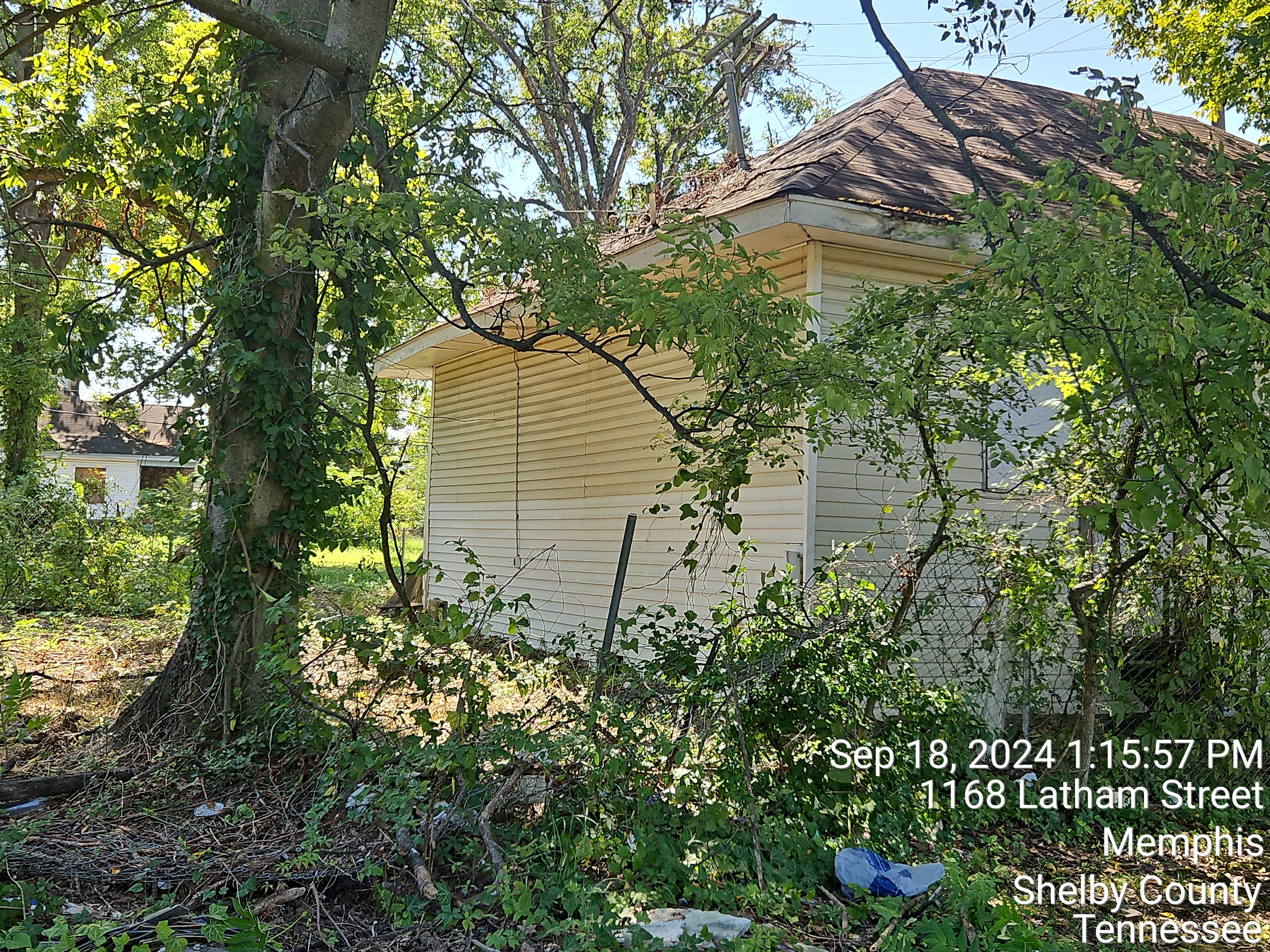 1170 Latham photo