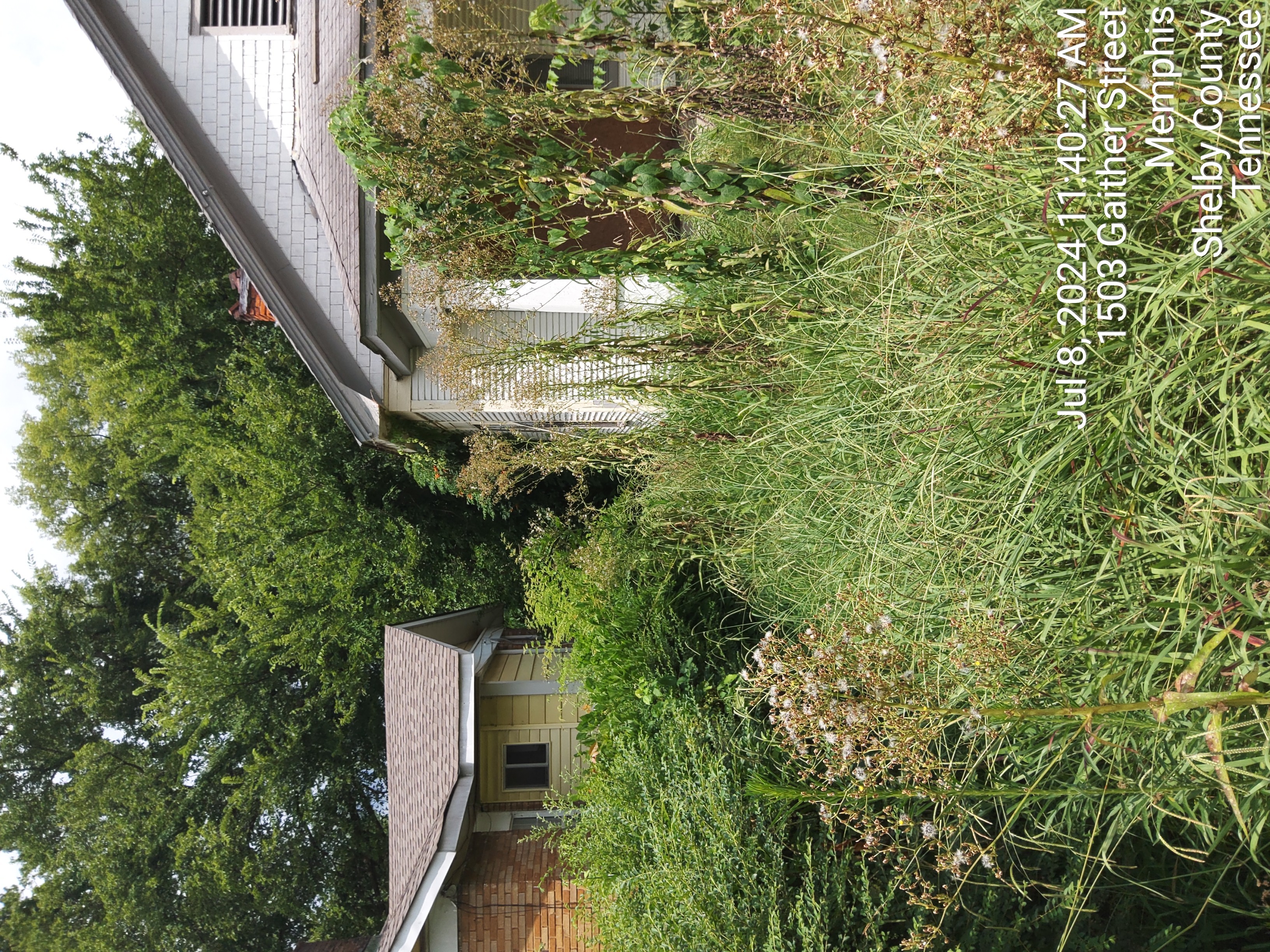 1503 Gaither photo