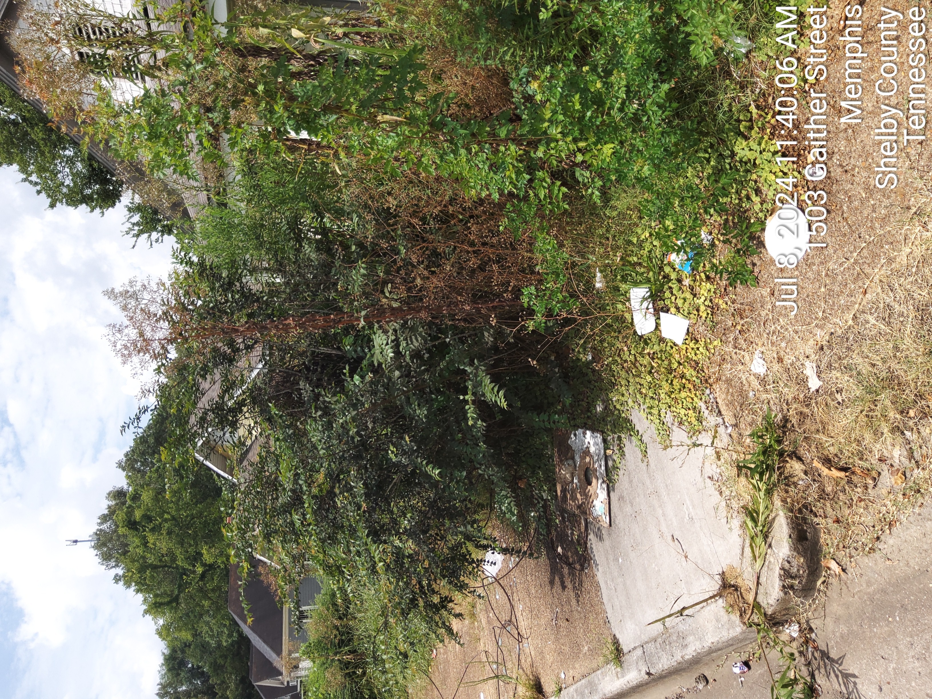 1503 Gaither photo