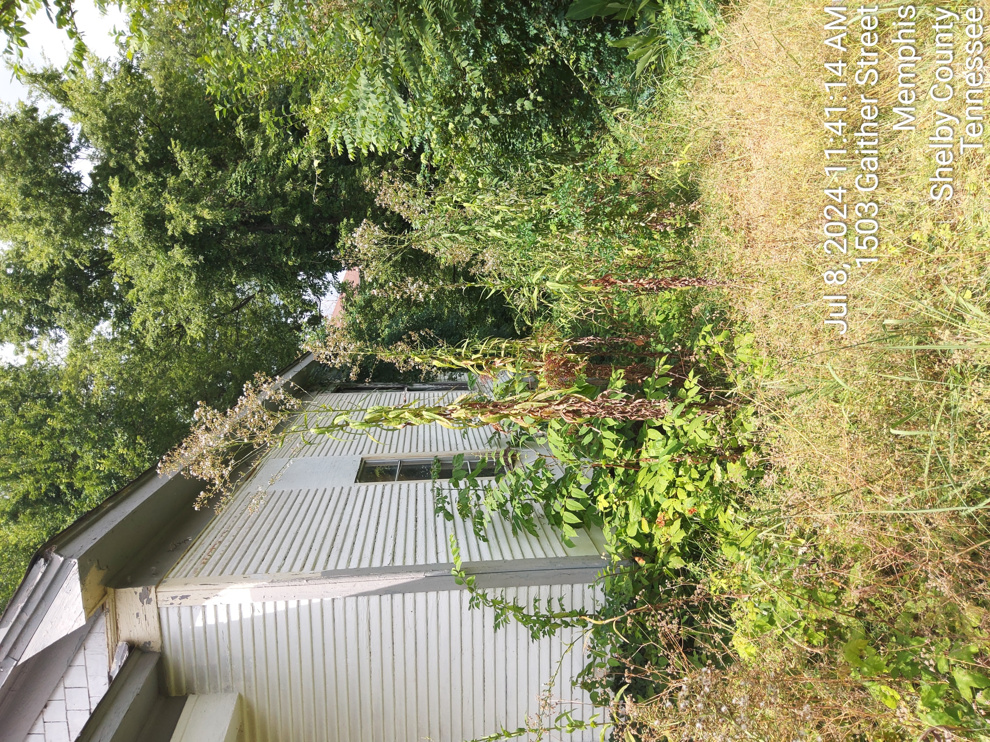 1503 Gaither photo