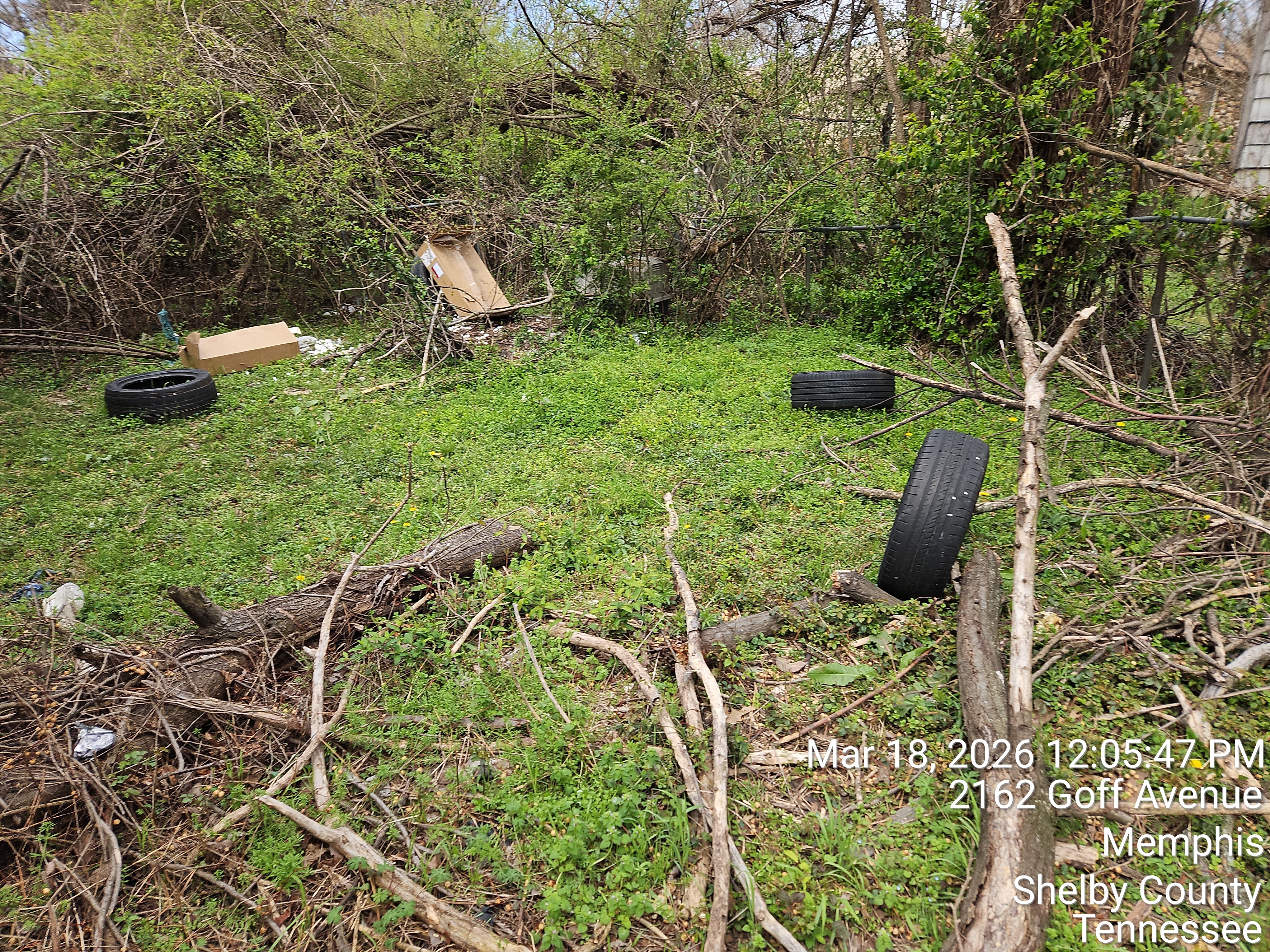 2154 Goff photo