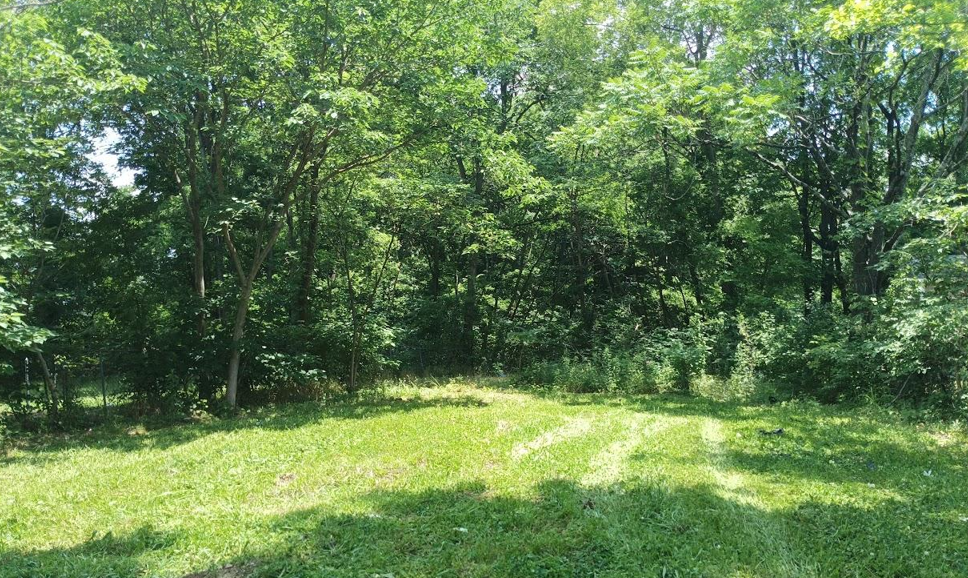 1100 Mississippi photo