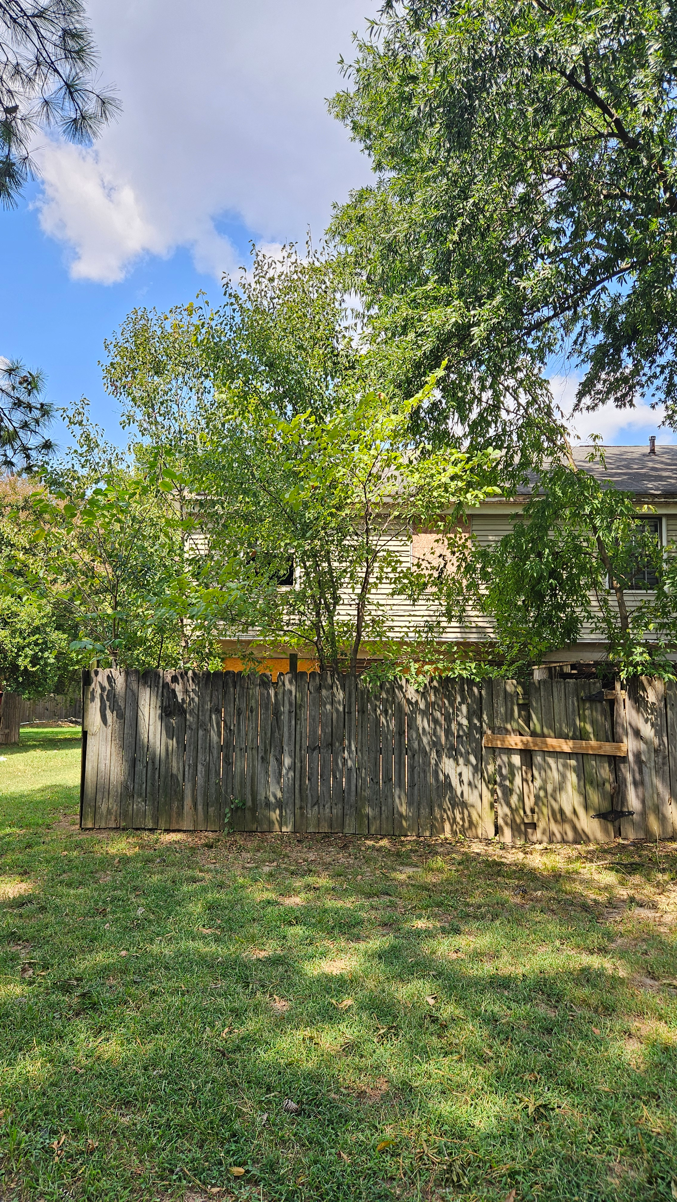 3779 Station Way photo
